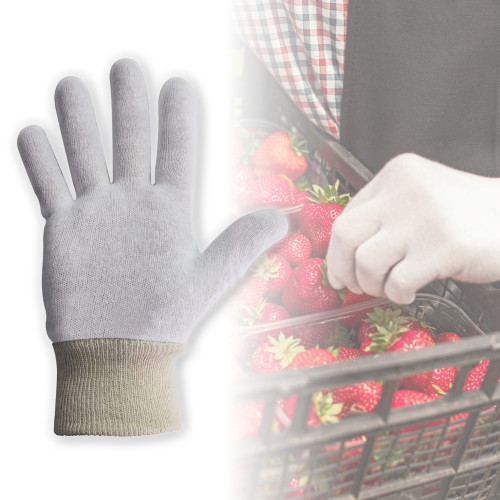 COTTON INTERLOCK GLOVES - KNITTED CUFF